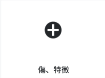 アクセント写真10